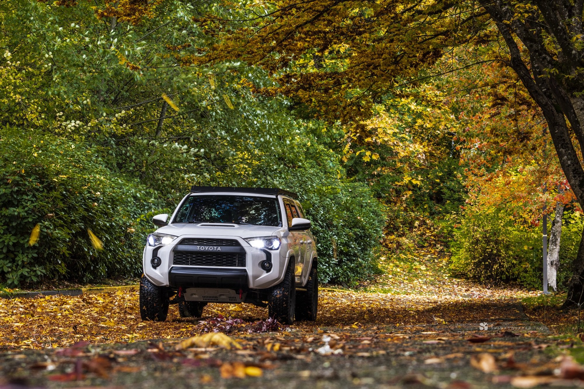Don’t Stop Be-Leafin’
