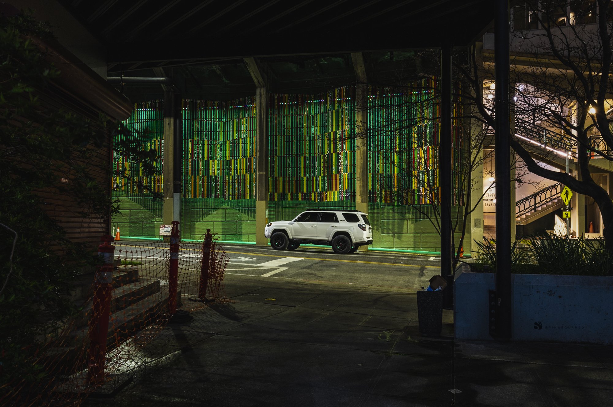 Urban Jungle